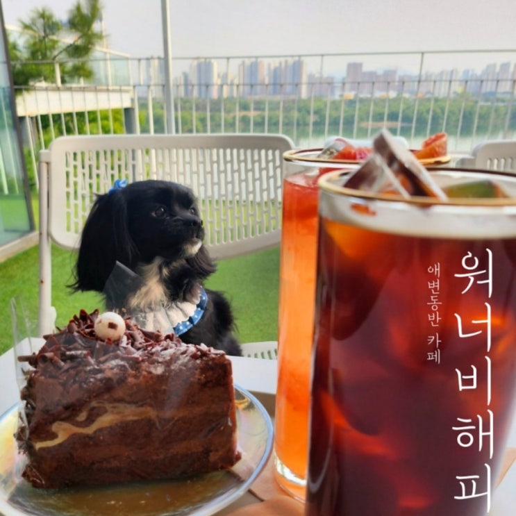 [남양주] 강아지와 북한강 뷰에서 커피한잔 애견동반 카페 워너비해피 후기