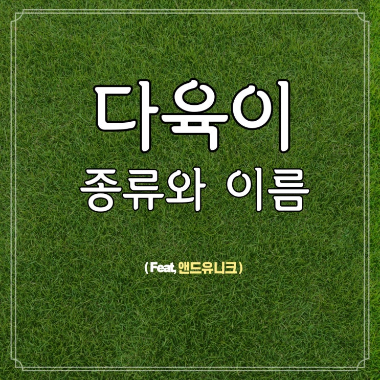  사계절 식물 다육이 종류와 이름