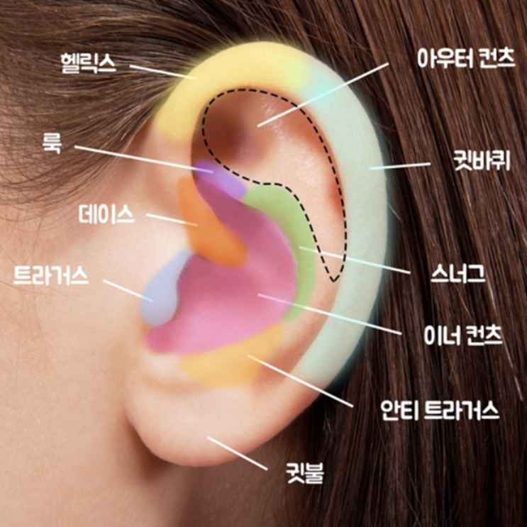  다양한 귀 피어싱 위치 부위(귓볼, 귓바퀴, 연골, 스너그, 아웃컨츠, 이너컨츠, 트라거스)
