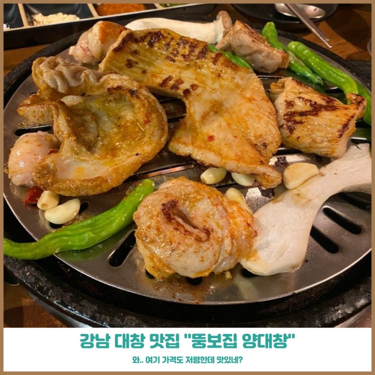 강남곱창맛집 뚱보집 신논현역점 고소한 대창과 특양구이