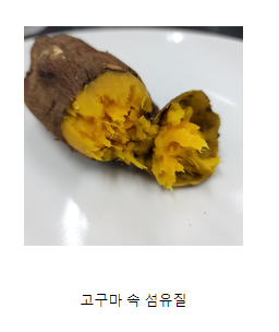 고구마 속 씹히는 심, 정체는 ‘섬유질’ 고구마 속 씹히는 심, 정체는 ‘섬유질’