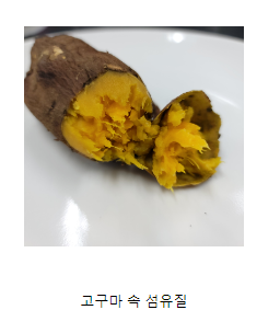 고구마 속 씹히는 심, 정체는 ‘섬유질’