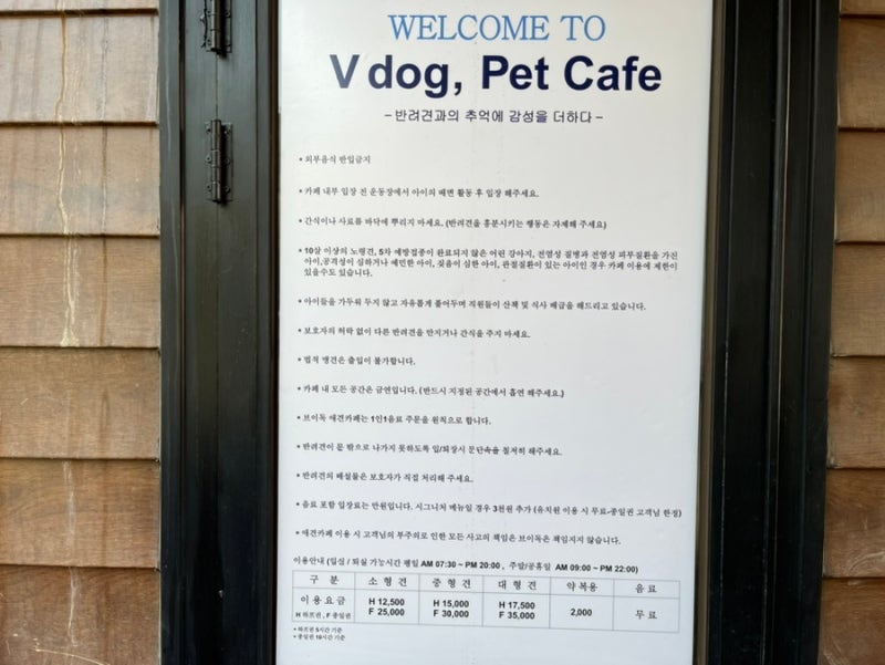 사진 2
