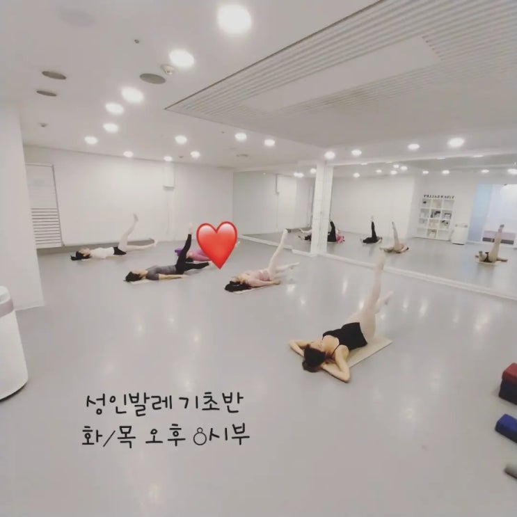  [문정동발레/가락동발레-비바발레] 성인 기초반 