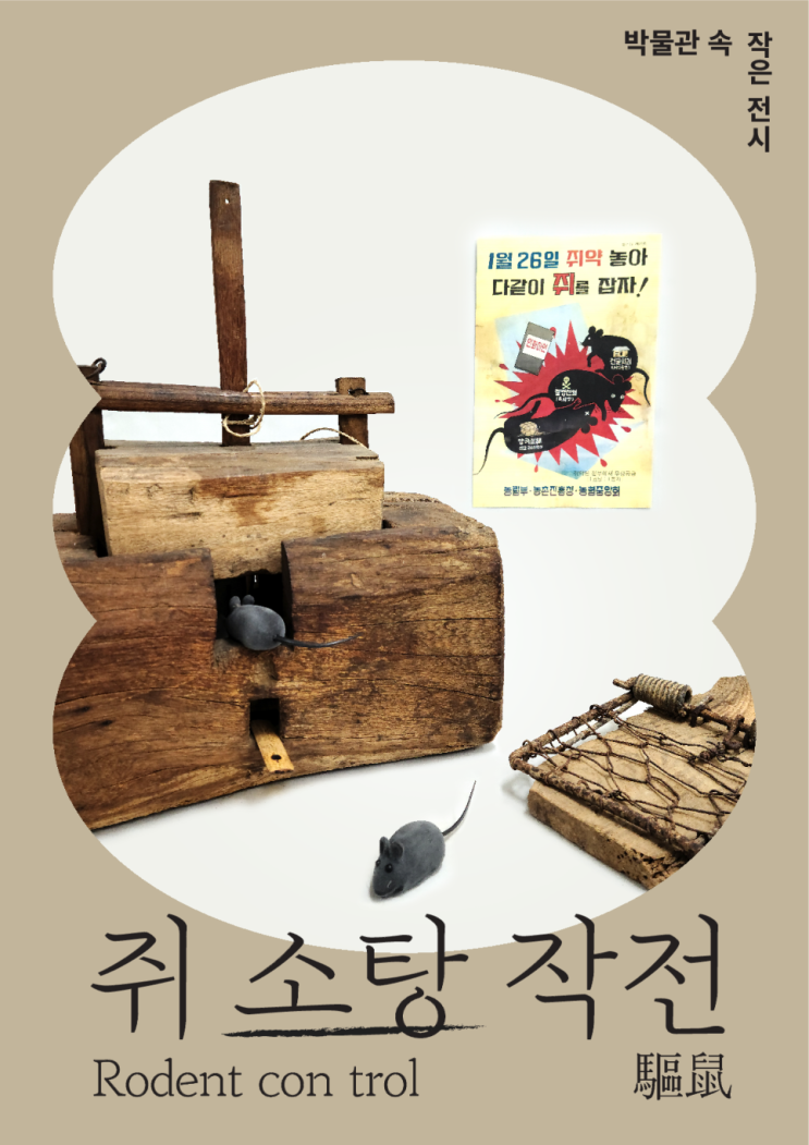  전국 쥐잡기 운동 쥐 퇴치작전 기간과 성과 (ft. 대전시립박물관)