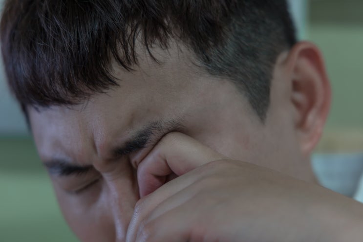  눈의 피로 영양제 오에핏 차즈기 (디지털 에이징)