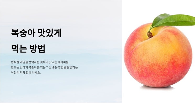  복숭아를 맛있게 먹는 방법, 꿀팁, 보관법, 레시피를 알아보아요!