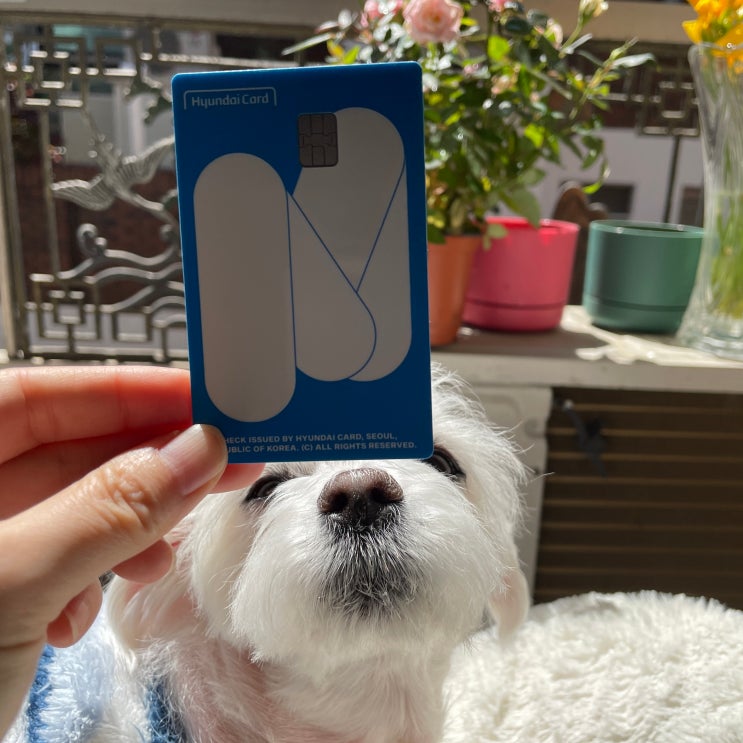  현대 체크카드 발급 애플페이 카드 실물