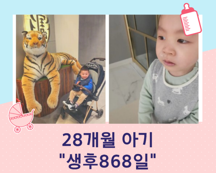  28개월 아기의 일상(생후868일)/콧물감기, 아쿠아가든, 델리커리