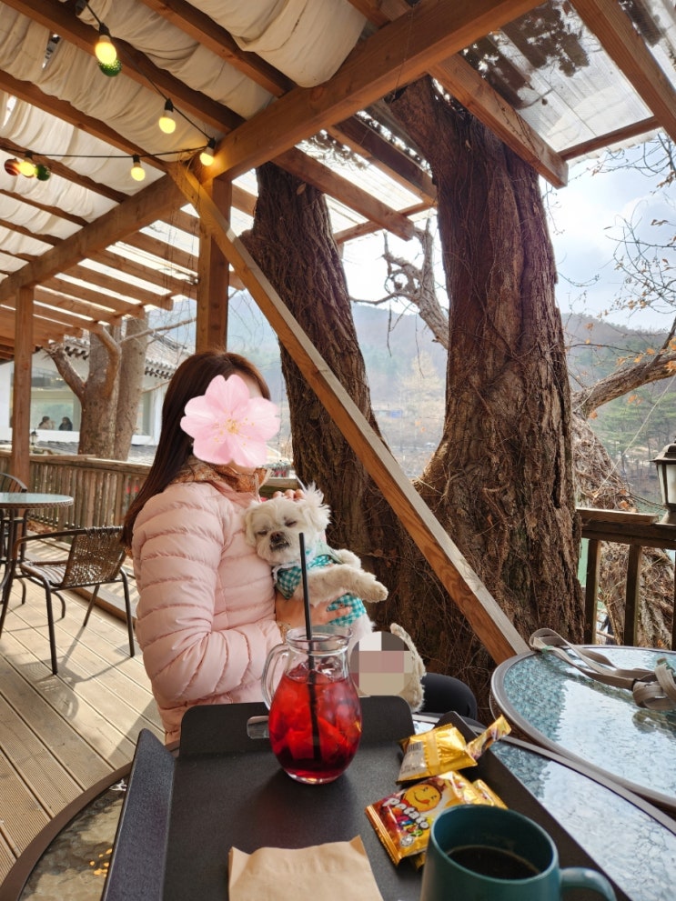 포천 고모저수지 한옥카페 부용원 포천 고모저수지 한옥카페 부용원