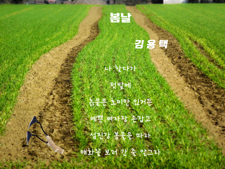 [오늘의 시 한모금] 김용택시인님의 '봄날'_환기타임즈 다올시스템