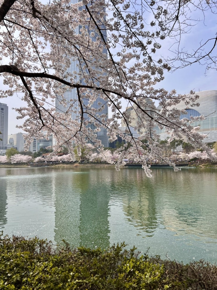  2023. 겨울 띄고 봄