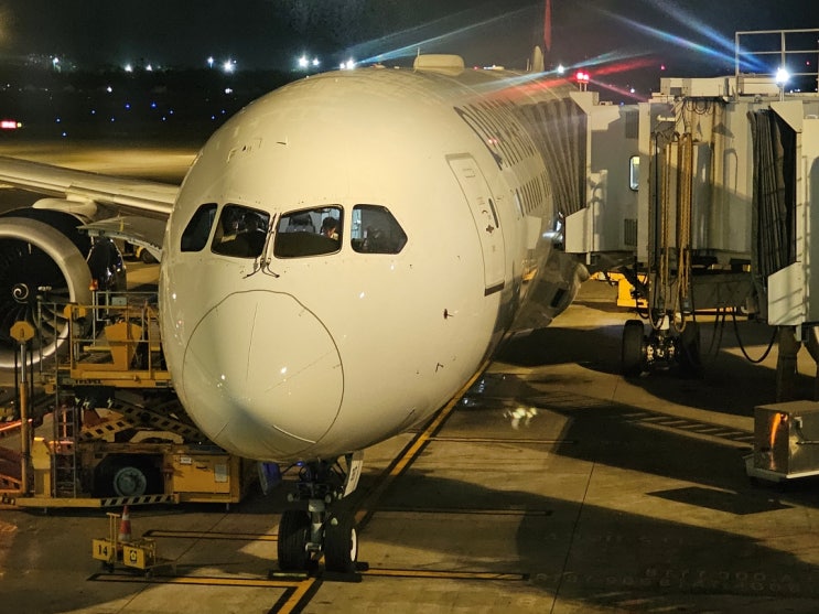 호치민여행 에어프레미아 베트남 호찌민항공권 호치민공항 프리미엄이코노미 탑승 리뷰 호치민여행 에어프레미아 베트남 호찌민항공권 호치민공항 프리미엄이코노미 탑승 리뷰
