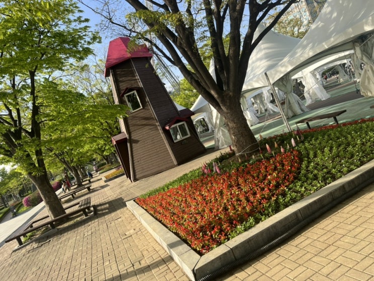  호수공원 따사로움을 보여드립니다.