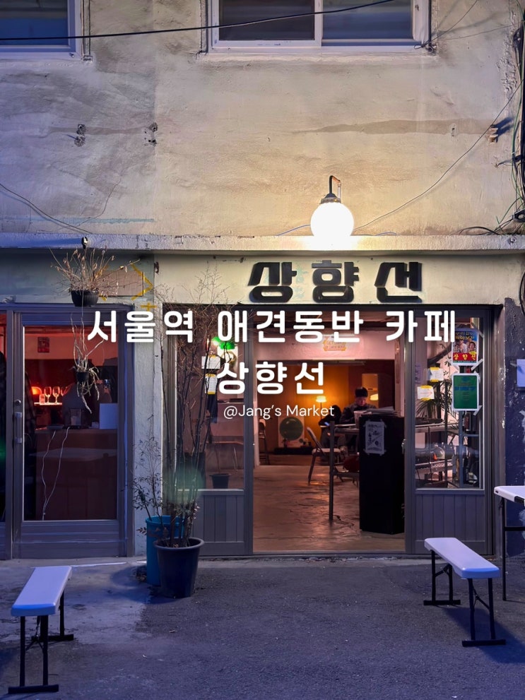  서울역 애견동반 카페 낮보다 밤이 즐거운 와인바 상향선