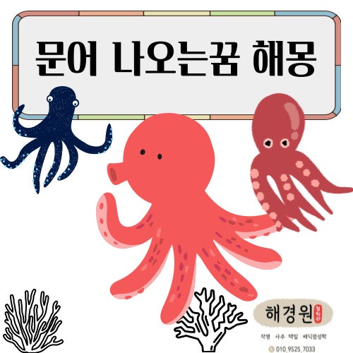 문어나오는꿈 다양한 상황별 꿈해몽 알아봐요