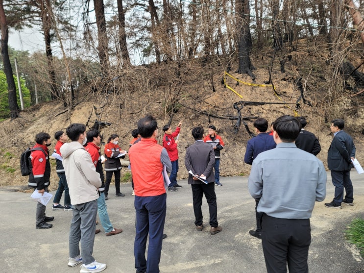 송·배전 선로 및 숲 관리 강화를 위한 현장토론회 개최 송·배전 선로 및 숲 관리 강화를 위한 현장토론회 개최