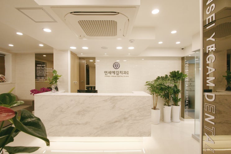  The Best English-speaking dentist in Soeul, Korea; Yonsei Yegam Dental Clinic(City hall Station)