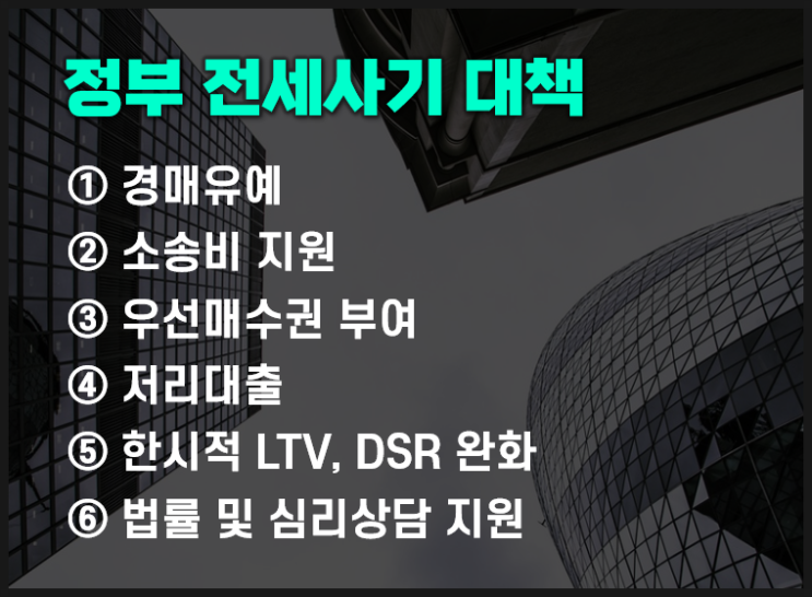  전세사기 피해자 대책(경매 유예, 소송비, 우선매수권, 저리대출, LTV, DSR완화)