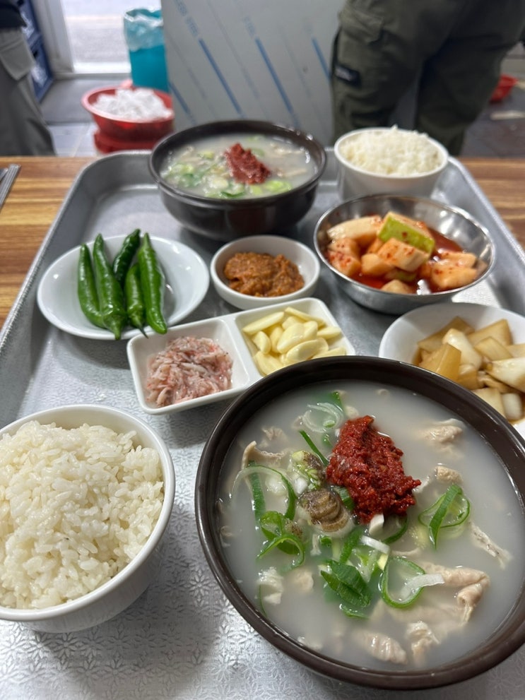 대구 진천동 돼지국밥 내장국밥 미성꿀꿀이 진천동 맛집추천