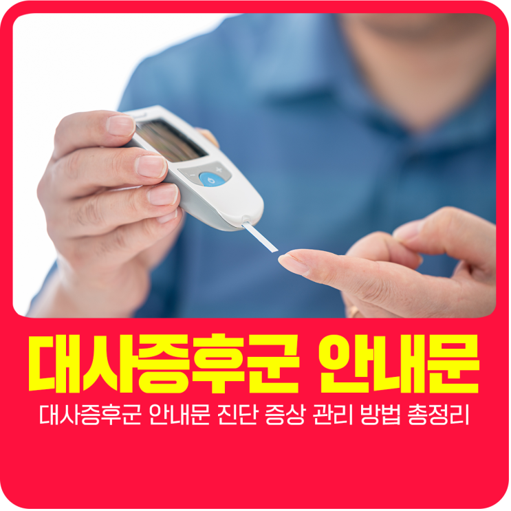  대사증후군 안내문 진단 증상 관리 방법 총정리