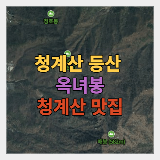 청계산 옥녀봉 등반 및 맛집 탐방 - 봄맞이 산행