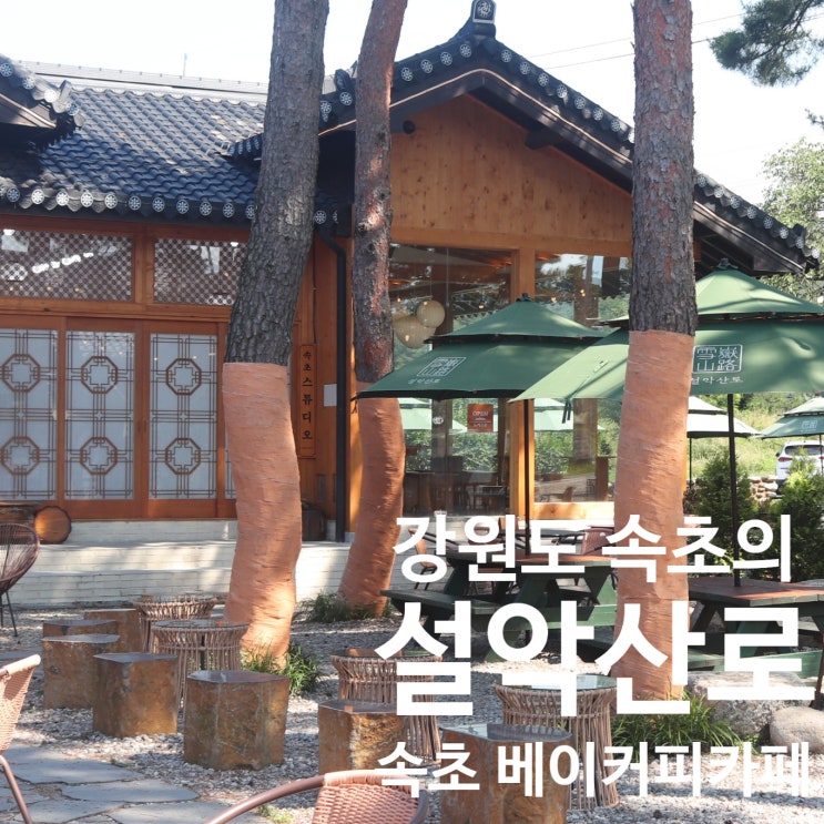  [ 카페 설악산로 ] 속초 설악산로 한옥카페에서 즐기는 베이커리와 커피 / 속초가볼만한곳 / 속초 대형카페