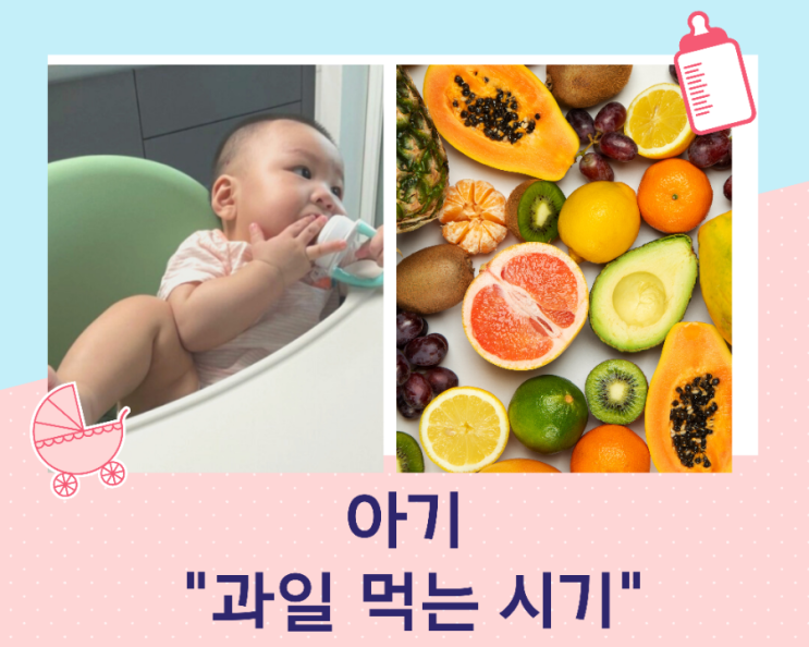 아기 과일 먹는 시기와 월령별 먹을 수 있는 과일