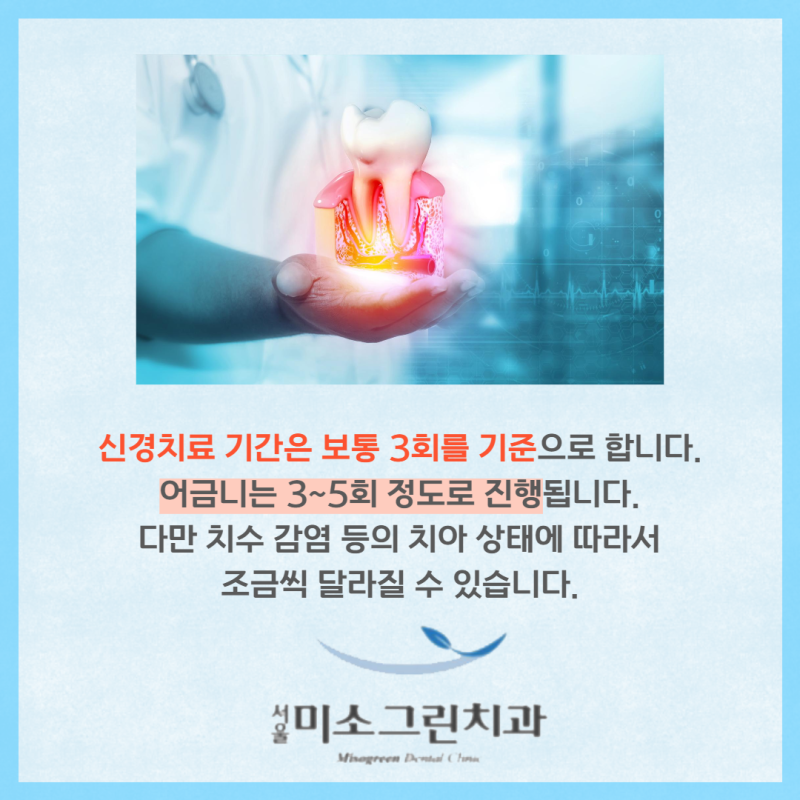 의정부 어금니 신경치료 비용을 조기에 상담하세요 8