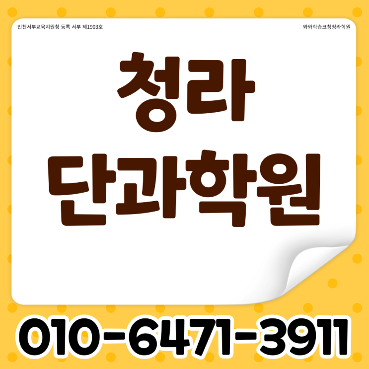 인천 청라 초등 영어학원 가정동 고등 국어학원 중학생 수학 단과