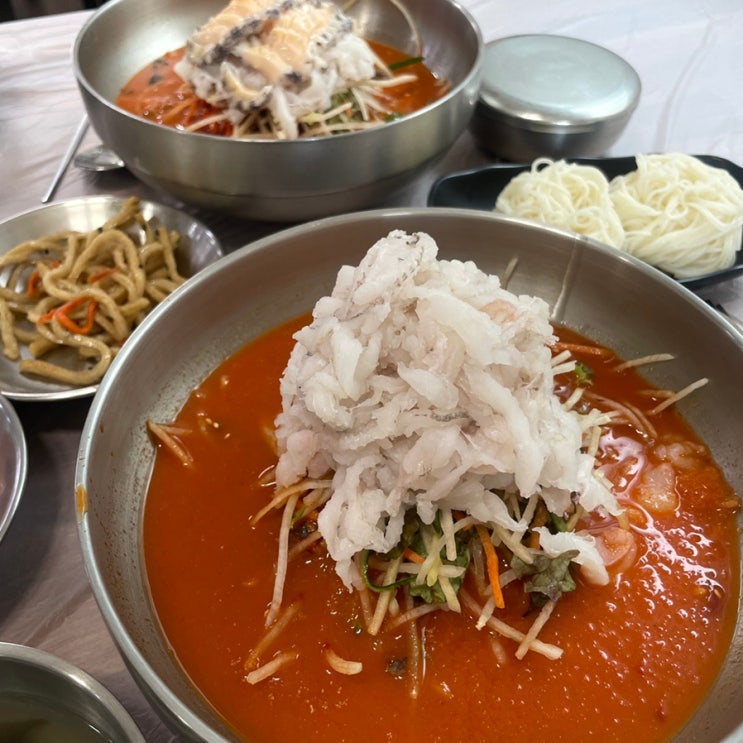  속초물회 맛집 '완도회식당' = 오징어물회로 유명한집!오징어금어기로 수북한 전복 가자미물회