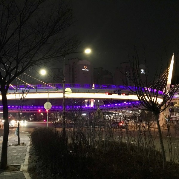 천안 가볼만한곳 멋진 야경과 함께 산책과 라이딩을 즐길 수 있는 곳 불당동 원형육교 / 슬쌍디아빠 이동섭