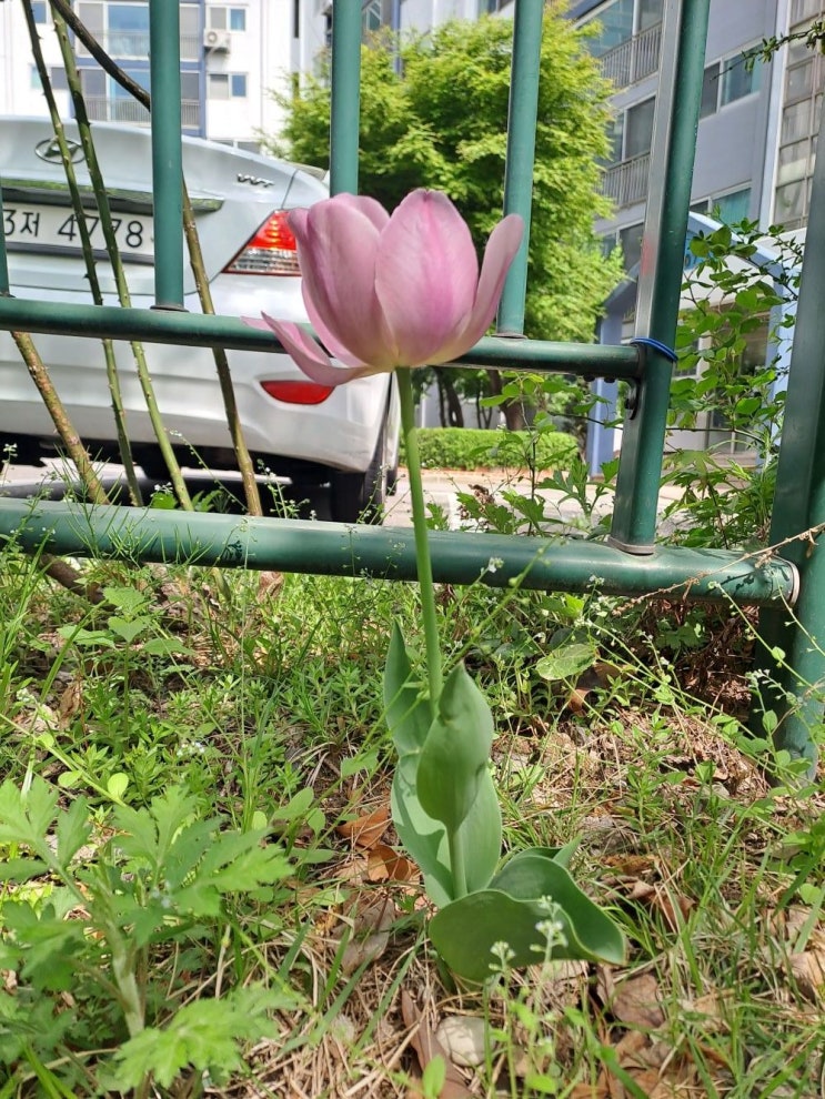  임대인의 동의를 받은 전대차