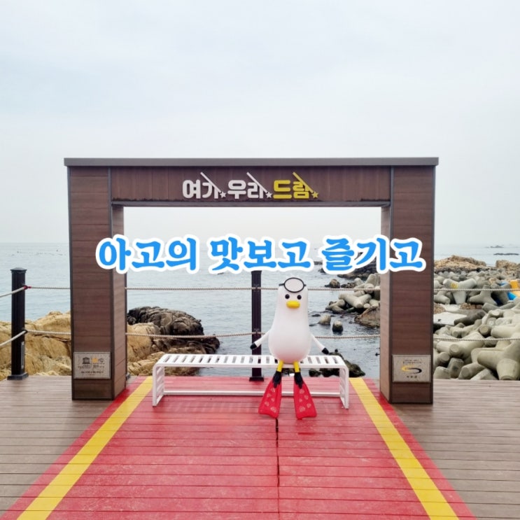  아고의 맛보고 즐기고~ 국내여행 W16