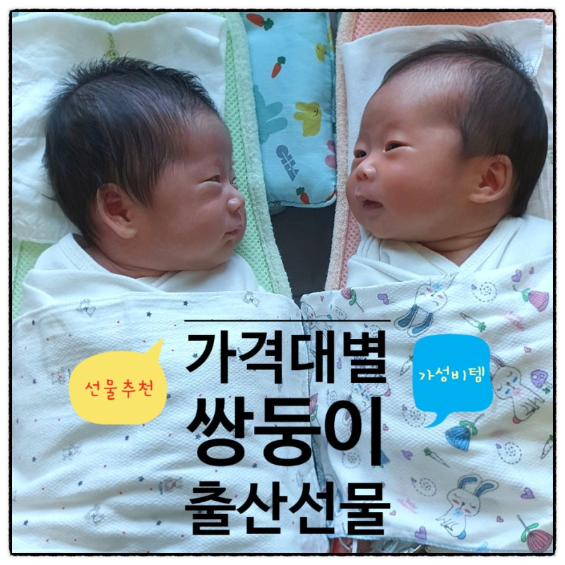 쌍둥이 선물 가격대 별로 정리한 아기 출산 선물 추천 가족,지인,친구,직장동료