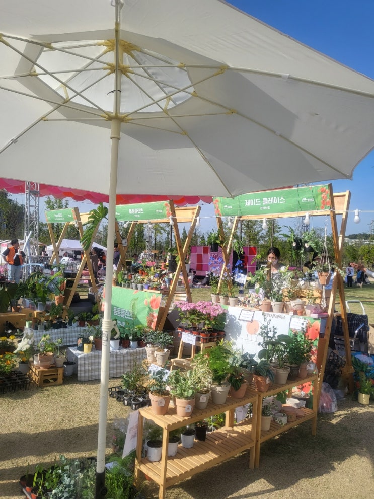  (마곡)서울 식물원-해봄축제 둘째 날 보기+주변 맛집,카페 추천!!!