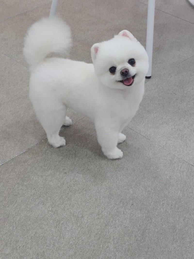 사진 3