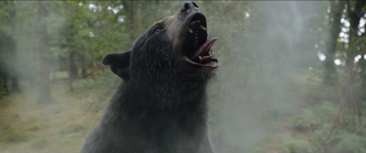  영화 코카인 베어 (Cocaine Bear 2023)줄거리, 흑곰의 실화이야기