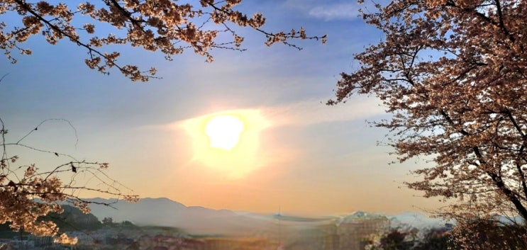 사유 쓰기 3 - 수필, 수필의 핵심, 감성 정서 삶, 신변잡기, 내면에 박힌 못