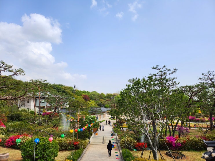  [경기수원] 팔달구 도심 속에 있는 절 광교역 근처 잘 가꿔진 봉녕사 산책