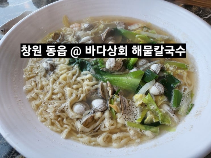  창원 동읍 무점리 바다상회 해물칼국수 후기