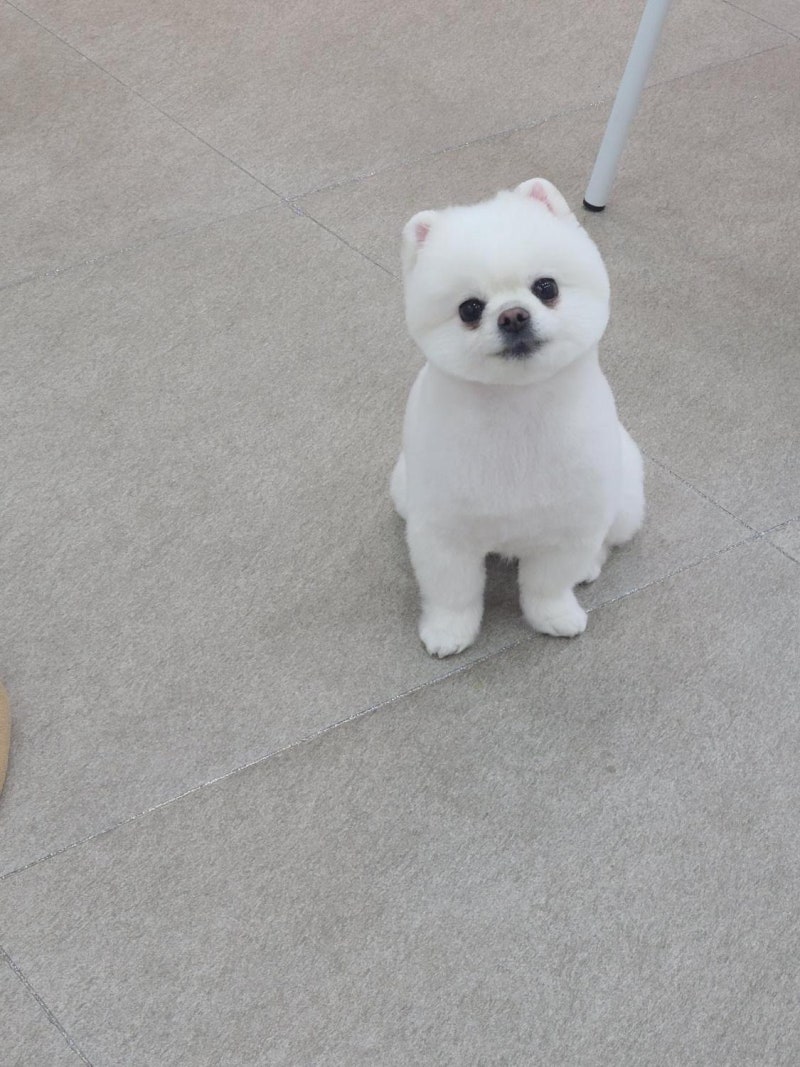 사진 4