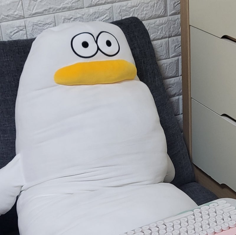 오둥이입니다만 오둥이 모찌 바디필로우 카카오톡 선물하기