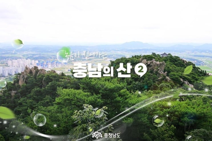 충남 가볼만한곳 녹음이 짙어가는 충남의 산 | 충남도청페이스북