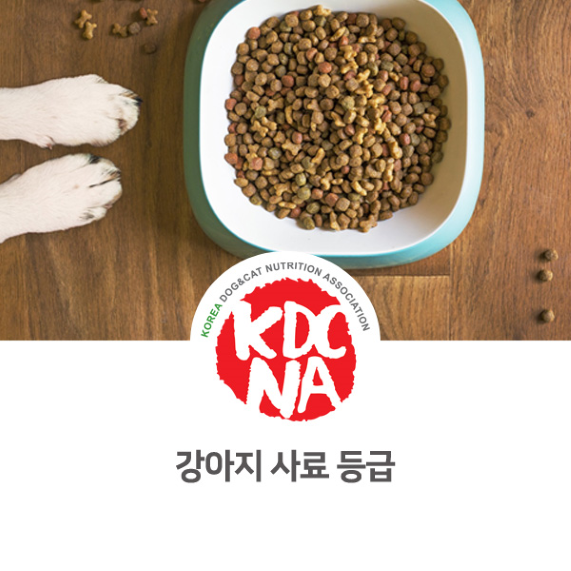  강아지 사료 등급 알아보기 [한국반려동물영양협회/보양멍냥/펫푸드자격증/서울/은평구/노원구_1104]