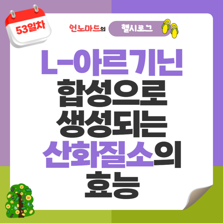  53일차, L-아르기닌 합성으로 생성되는 산화질소의 효능 및 부작용