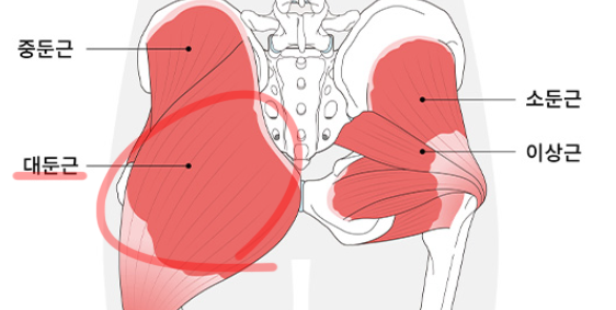 런지효과 는 자세와 종류가 핵심, 리버스런지 알아볼까요?