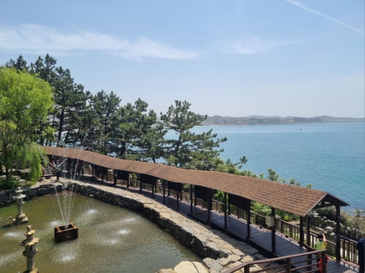  [충남]1박2일 보령 여행 2일차/스타벅스/죽도 상화원/무창포해수욕장