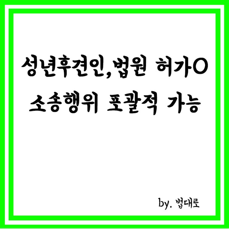  대법 "성년후견인, 법원 허가 받았다면 소송행위 포괄적 가능",성년후견제도,성년후견인