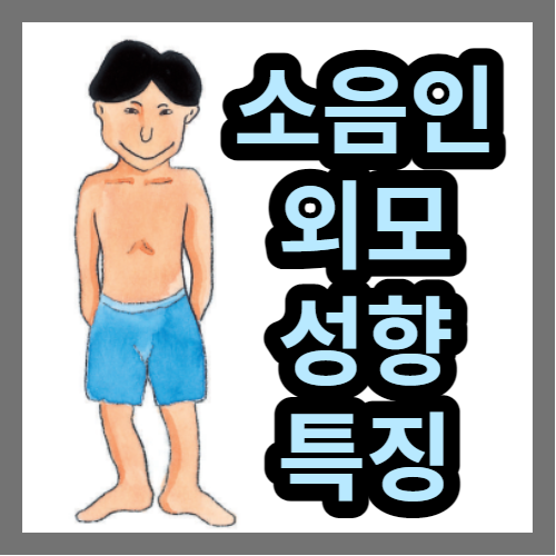  소음인특징과 감별점, 이미지 비교